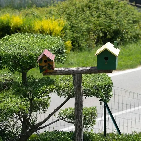 Vista Visinada Вилла